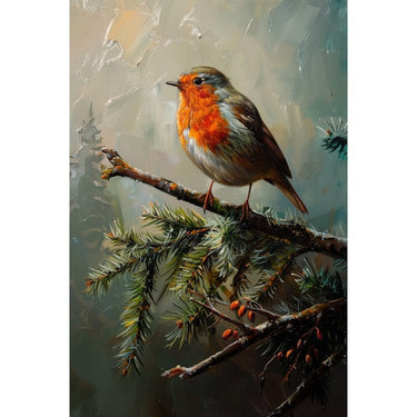 Robin Canvas
